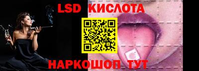 шишки Ставрополь