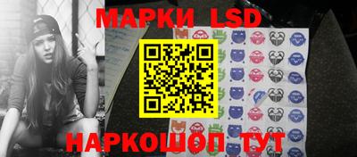 шишки Ставрополь
