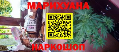 шишки Ставрополь