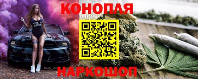 шишки Ставрополь