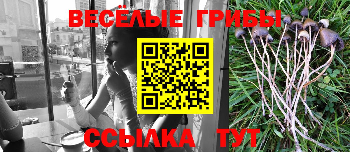 Галлюциногенные грибы MAGIC MUSHROOMS  Вход с VPN  Псилоцибиновые грибы Psilocybine cubensis  купить наркоту  Новошахтинск 